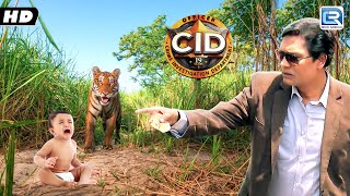 खतरनाक जंगल में मिला CID को बच्चा  CID  FULL EPISODE HD [upl. by Eiramnna]