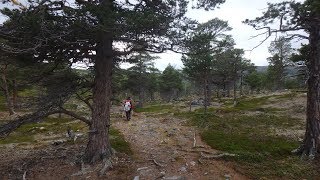 Lappland 2019  Teil 1 Finnland und Norwegen [upl. by Yrelbmik914]