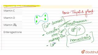 Parathormone influences calcium absorbton in the small intestine by regulating the metabolim of [upl. by Hgeilhsa]