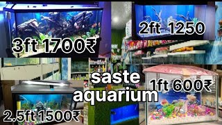 cheapest price aquarium low price aquarium wholesale and retail shop aquarium fish khanna nagar [upl. by Tocci]