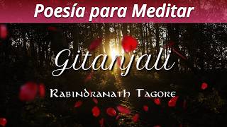 MEDITACIÓN Poética Devocional 💖🙏 Rabindranath Tagore  Gitanjali Pt 1 Con Textos en Español 132 [upl. by Frankel]