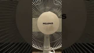 White Pelonis Table Fan Video 3 [upl. by Thalia653]