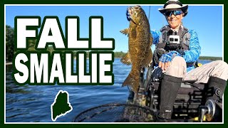 September Smallmouth  9224 [upl. by Hartzke801]