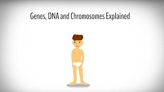 Genes DNA and Chromosomes explained [upl. by Prager]