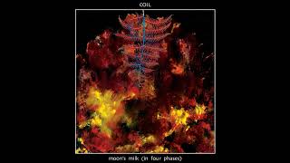 Coil  quotBanksidequot Official Remastered Audio [upl. by Doe453]