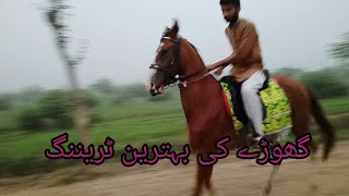 ghode ki training kaise karte hain Horse training [upl. by Glaser]