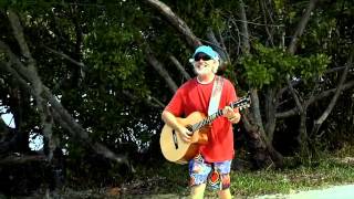 Magic In Key West Howard Livingston Jimmy Buffett [upl. by Eltsyrk]