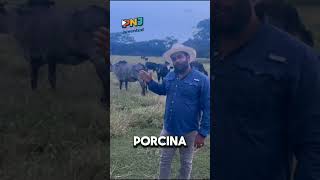 Video de PNJ 2025 Wilfredo Chireno González [upl. by Boiney]