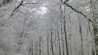 Weerbericht donderdagmiddag Winter blijft [upl. by Aikahs]