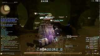 OUTDATED PRE 20 RELEASE Final Fantasy XIV  Cutters Cry Speed Run patch 121 [upl. by Aratahc971]