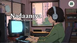 Nadaniyan song Reverbs amp Slowed youtubevideo youbetyourlife songlyrics [upl. by Gaw347]