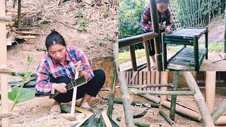 Full Video Full Single girls daily journey to build a new life [upl. by Yorgerg]