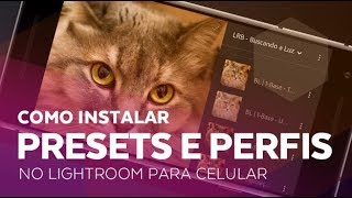 Como Instalar Presets e Perfis no Lightroom para Celular Nova Versão [upl. by Seiber]