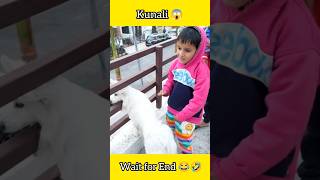 Kunali Oreo ke sath ye kya kar raha hai  😱🤭 trending viral shorts [upl. by Lundquist383]