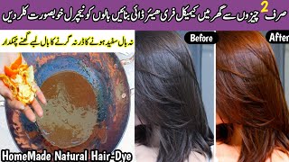 How To Colour Hair At Home Naturally  Get Shiny Brown Color In 1 Day  No Hairfall Smooth Hair Dye [upl. by Yralam51]