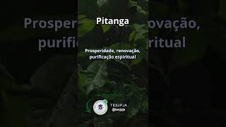 tesjpja umbanda axe espiritualidade umbandasagrada [upl. by Farmelo]