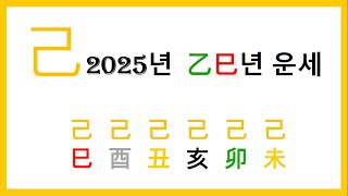 2025년 을사년 기일간 일주별 운세 ㅣ시작이 반이다 [upl. by Lisk187]