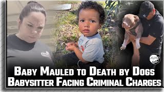 Babysitter Arrested Vicious Pitbull Dogs Attack Baby Leaving Child wLifethreatening Injuries [upl. by Abate]