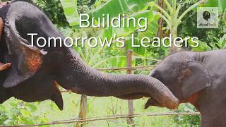 Building Tomorrows Leaders [upl. by Marleen]