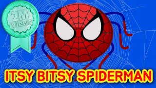 ITSY BITSY SPIDER MAN  Song for Children  Superhero Songs  Super Simple Songs  Incy Wincy Spider [upl. by Cynar]