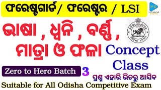 Odia Grammar Concept Class by PATTANAYAKEDUCATION  Bhasa  Dwani  Barna  Matra and Phala [upl. by Atiral527]