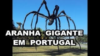 Teias de aranha gigantes cobrem a paisagem na Austrália Shorts [upl. by Leandro]