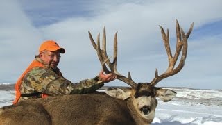 MONSTER Colorado Mule Deer 245quot BampC  MossBack [upl. by Schweiker452]