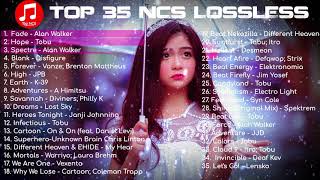 Top 35 NCS Music Lossless  Best of nocopyrightsounds 2019 [upl. by Riva]