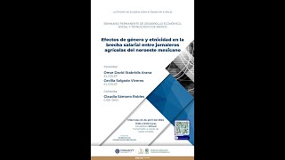 Seminario Efectos de género y etnicidad en la brecha salarial [upl. by Assirrec]