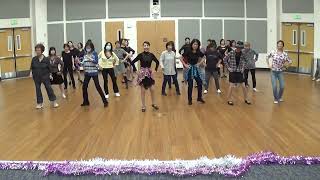 Cotton Eye Joe  Line Dance [upl. by Hgielah]