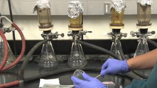 Fecal Coliform Bacteria Tests [upl. by Nyberg453]