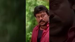 Kam Se Kam Umar Ka To Khayal Karo DilerDaring chiranjeevi dialogue shorts reels [upl. by Ezri]