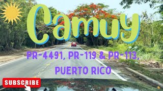 Camuy PUERTO RICO in 4K 2022 Roads PR4491 amp PR119 amp PR113 [upl. by Gorlin387]