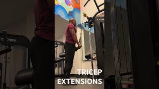 Triceps Extensions  Estela [upl. by Mosera]