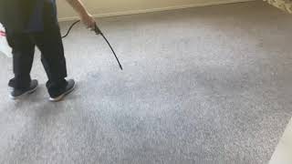 Steam Cleaning a Very Dirty Carpet 😎 [upl. by Yahiya597]