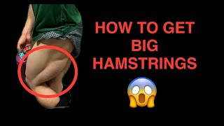 HAMSTRING TRAINING GUIDE [upl. by Vaish678]