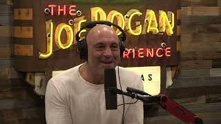 Joe Rogan Experience 1798  Michael Shellenberger [upl. by Yrrak]