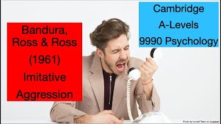 Bandura Ross amp Ross 1961 Imitation of Aggression  ALevels 9990 Psychology [upl. by Barber]