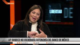 Mitos y realidades de la iniciativa de reforma a la Ley Banxico  Análisis 1 de febrero 2021 [upl. by Munsey926]