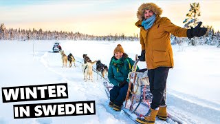 Incredible Dogsledding amp Northern Lights In Lapland Sweden [upl. by Ecylla982]