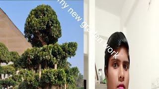 sapna Kumari my vloge graden work [upl. by Tavi]