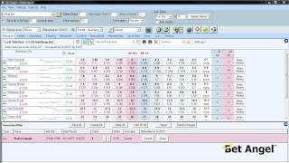 Automatic betting and trading with Bet Angel [upl. by Burchett]