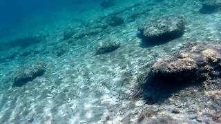 Snorkeling in Possidi Cape Chalkidiki Greece  Ποσείδι Χαλκιδική [upl. by Oirotciv]