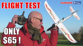 OUR BEST SELLING CHEAP and EASY TO FLY RC AEROPLANE FOR NEW RC PILOTS  WLtoys F959S Sky King [upl. by Nnylyam]