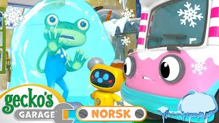 Gecko blir fryst  Geckos Garage Norske  Tegneserier for barn  Hele episoder på norsk [upl. by Hsina]