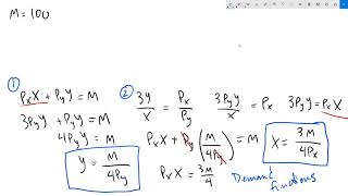 Consumer Choice Exercise [upl. by Aihtak]