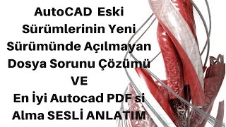 AUTOCAD AÇILMAYAN DOSYA SORUNUNU ÇÖZMEen iyi pdf ama 2017 sesli anlatım [upl. by Ecidna16]