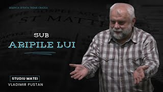 Vladimir Pustan  MATEI  98 Sub Aripile Lui  Ciresarii TV  17112024 [upl. by Atoiganap]