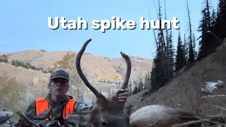 2024 UTAH SPIKE ELK HUNT crazy killshot [upl. by Htide]