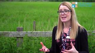 Pond Dipping  Crowle Moors Isle of Axholme [upl. by Aisayt]